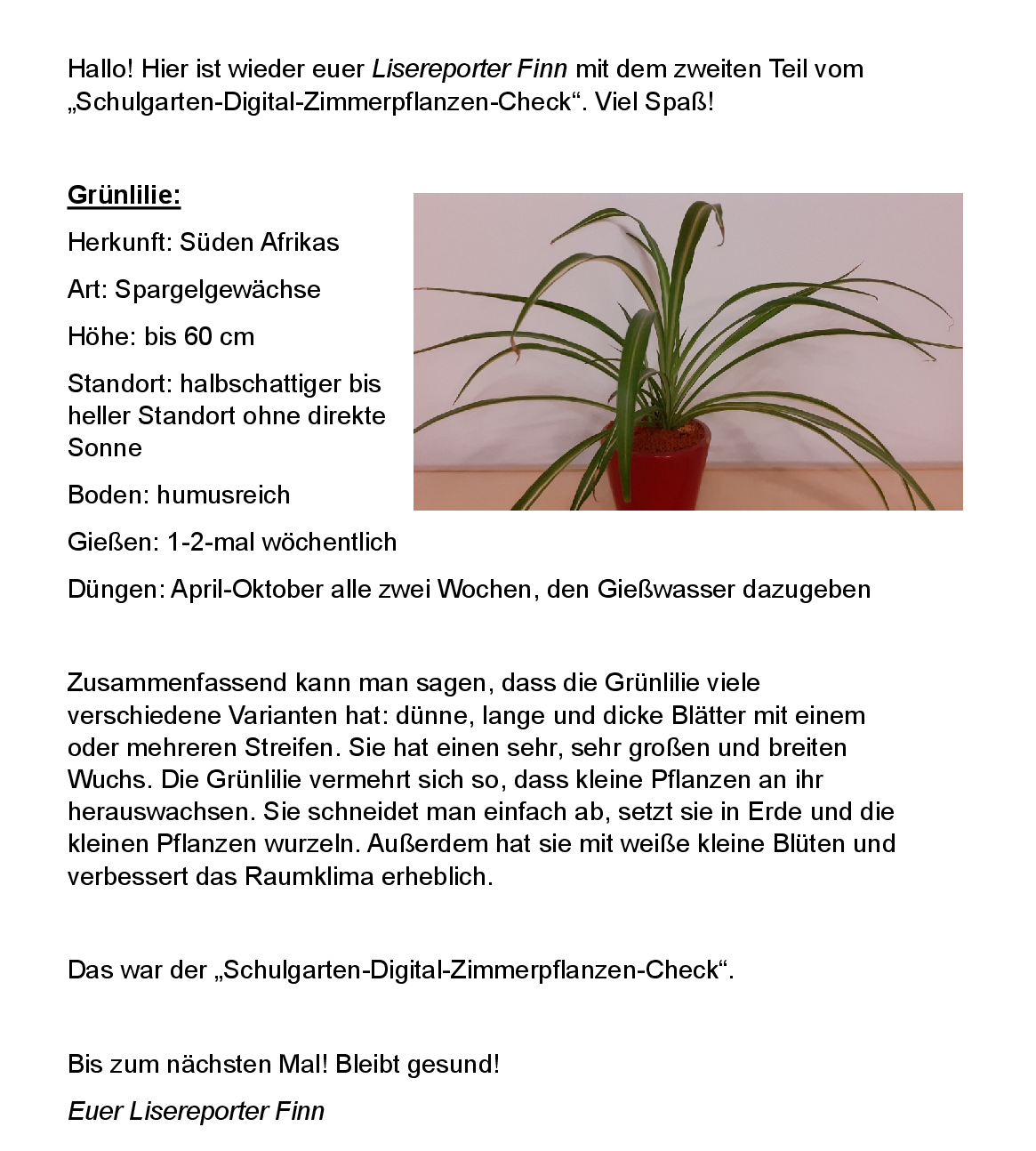 Schulgarten-Digital-Zimmerpflanzen-Check_Folge_2.png